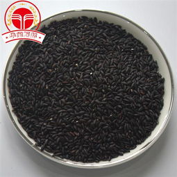 精選芝麻加工磨粉代餐粉，全方位供應信息與專業加工服務指南